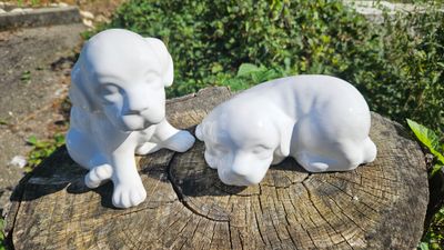 Hundeurne Fina