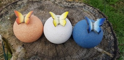 Schmetterlingurne
