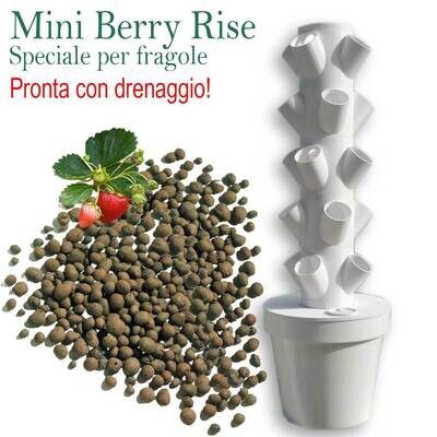 Mini Berry Rise Prepared - Coltivazione fragole in orto verticale