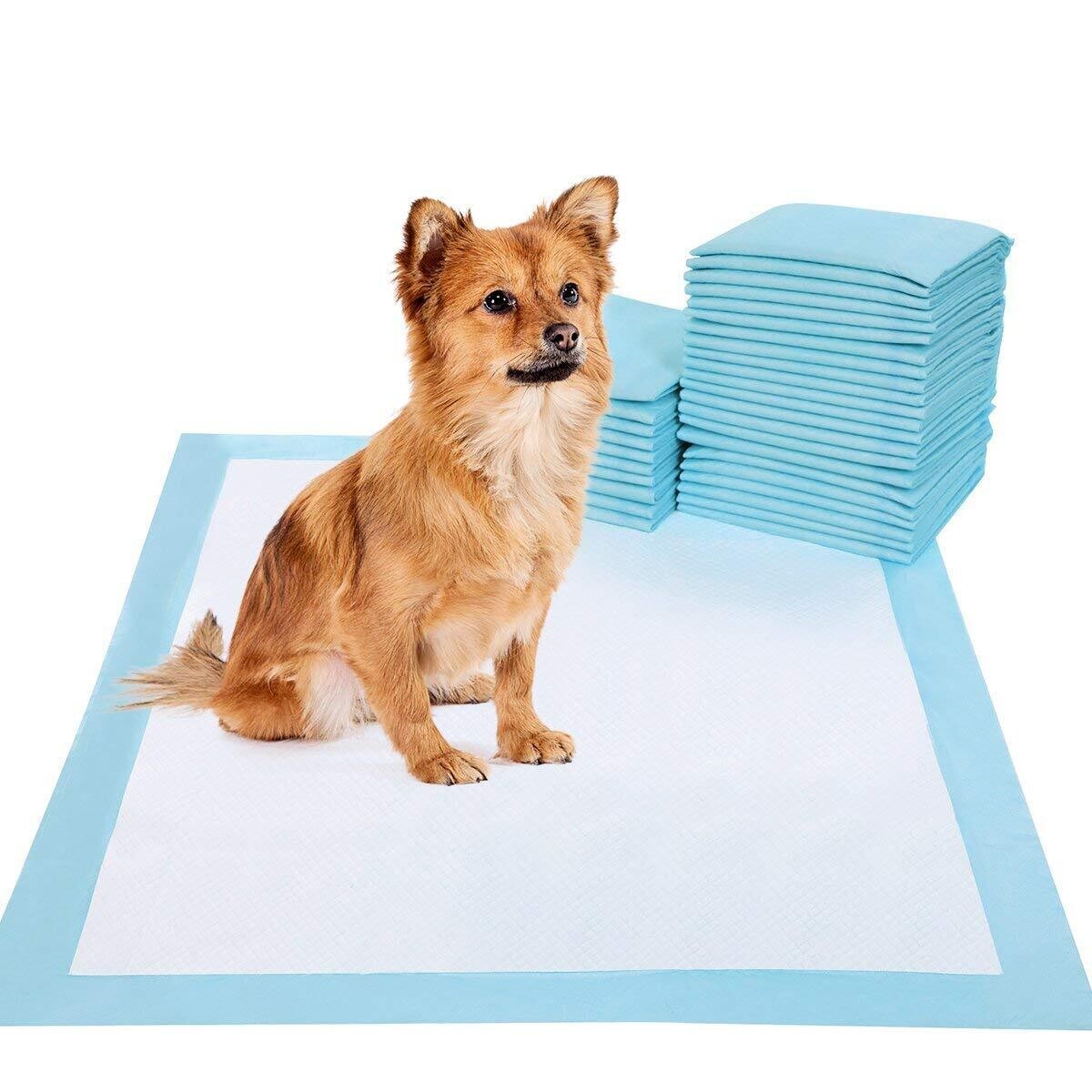 Puppy pad for small dog 100pcs