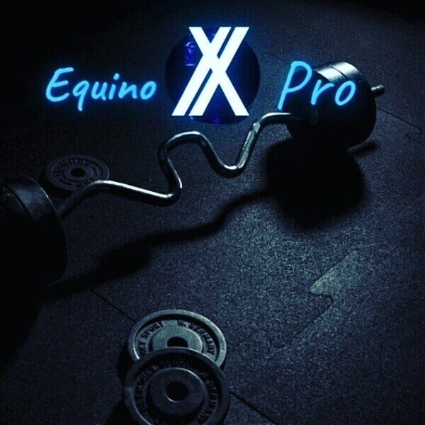 EquinoxPro