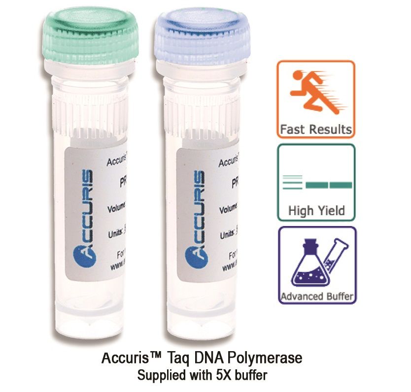 Accuris Taq Polymerase