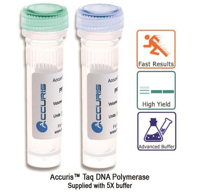 Accuris Taq Polymerase