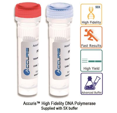 Accuris High Fidelity DNA Polymerase