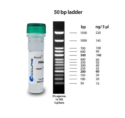 Accuris SmartCheck™ DNA Ladder