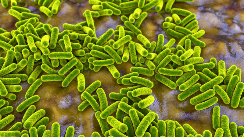 T2BS (Total Bacteria Detection)