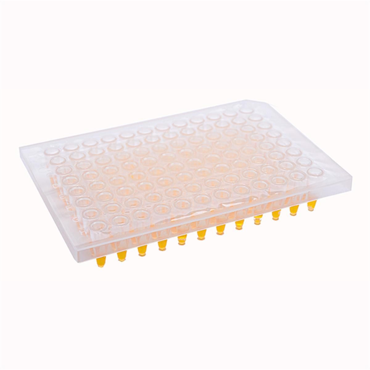 Foil seals, strong bonding for cold storage (-200 to 110C) and DMSO, for PP plates, 100/pk