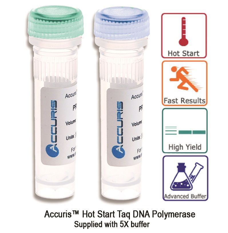 Accuris Hot Start Taq