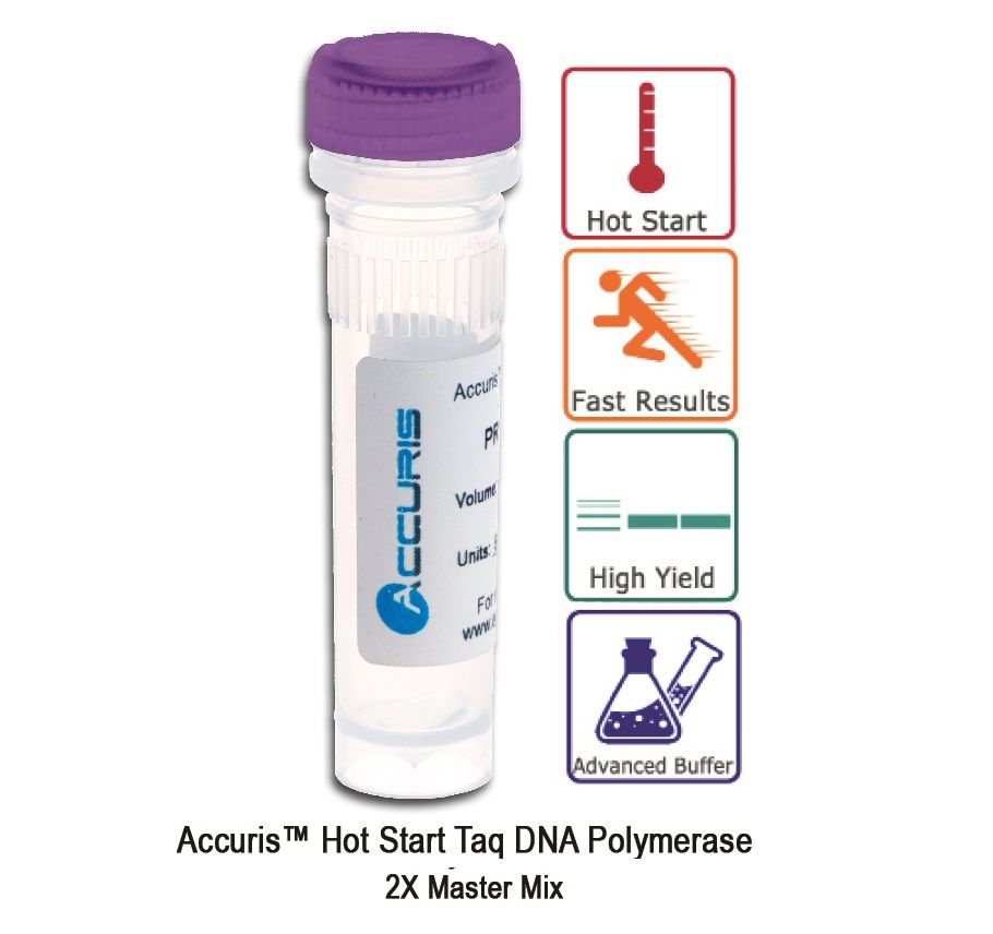 Accuris Hot Start Taq Master Mix, 2X conc.