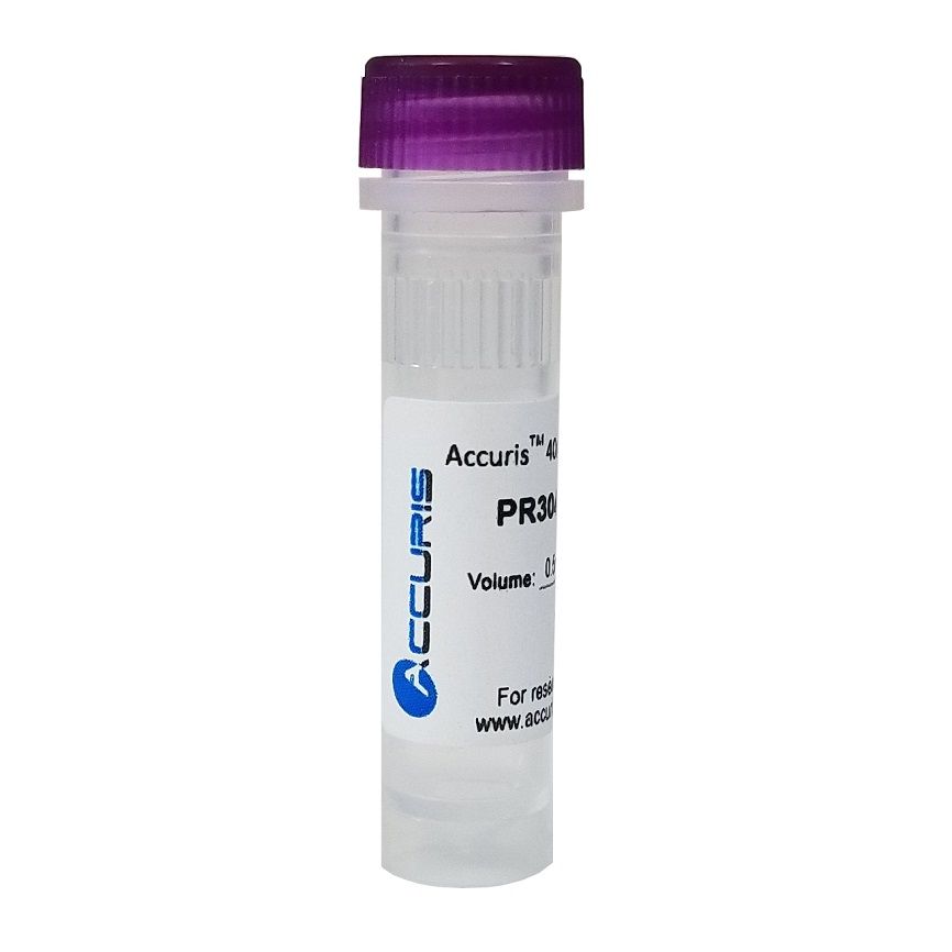 40mM dNTP Mix (10mM/20µmol each)