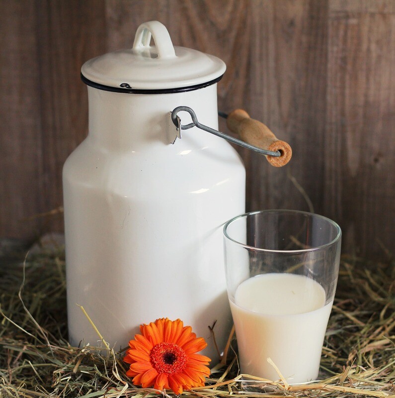 Interesse an unserer frischen Hofmilch?