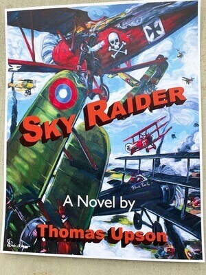 SKY RAIDER, A Novel + Poster of the front cover art