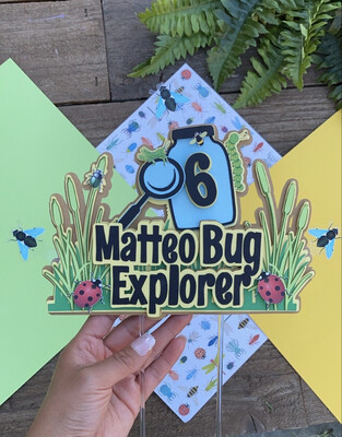 Bugs Cake Topper, Boys birthday, Bug Explorer, Bugs Life Cake, Camp Decor, Insects Theme, Outdoors birthday, Summer, Lady Bugs, Flys, 3D
