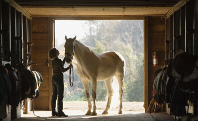 Stabling Payments
