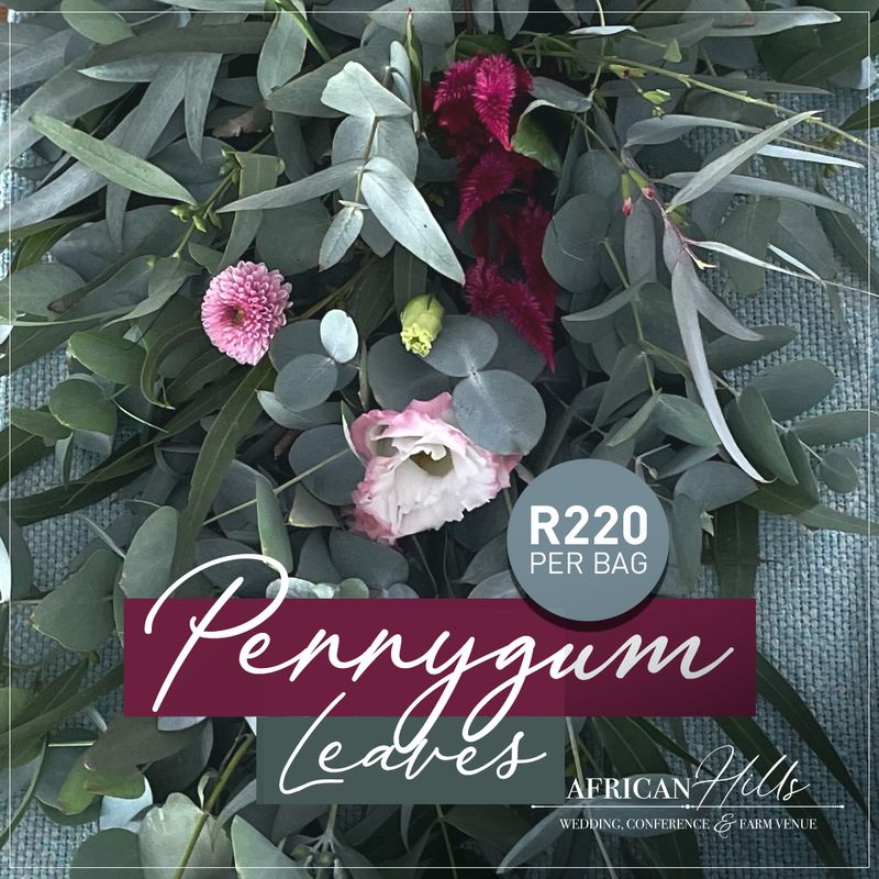 Penny Gum Leaves per bag
