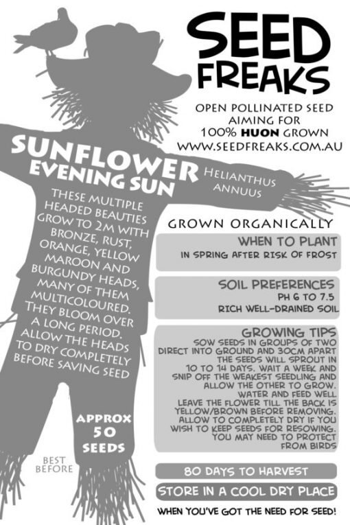 Sunflower Evening Sun (Seed Freaks)