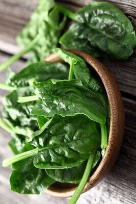 Spinach & Silverbeet / Chard