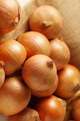 Onions & Spring Onions
