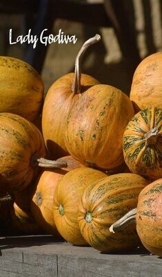 Pumpkin & Gourds