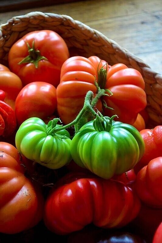 Tomatoes