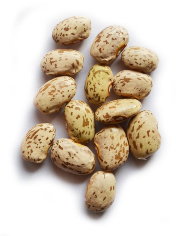 Crow River Beans