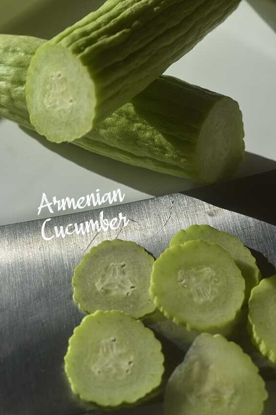 Cucumber Armenian Cucumber Armenian