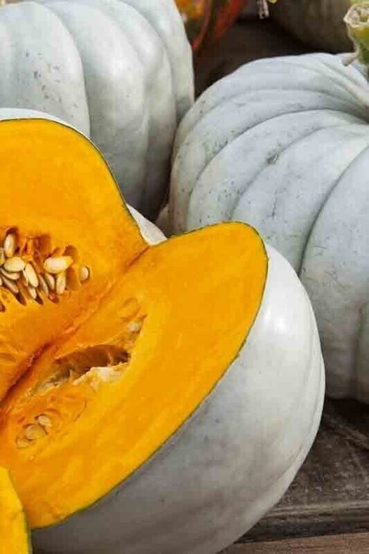 Jarrahdale Pumpkin (D2E jarrahdale grown).