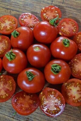 Siberian Tomato (Seed Freaks)