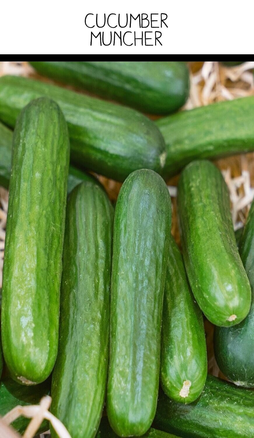 Cucumber Muncher