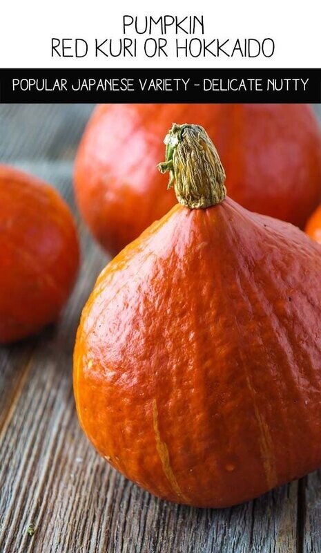 Red Kuri (Potimarron) Seed Freaks