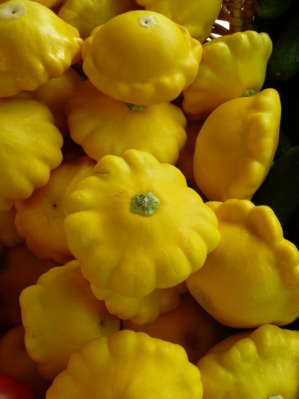 Squash Golden Scallopini