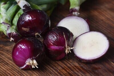 Holland Blood Red Onion (Seed Freaks)