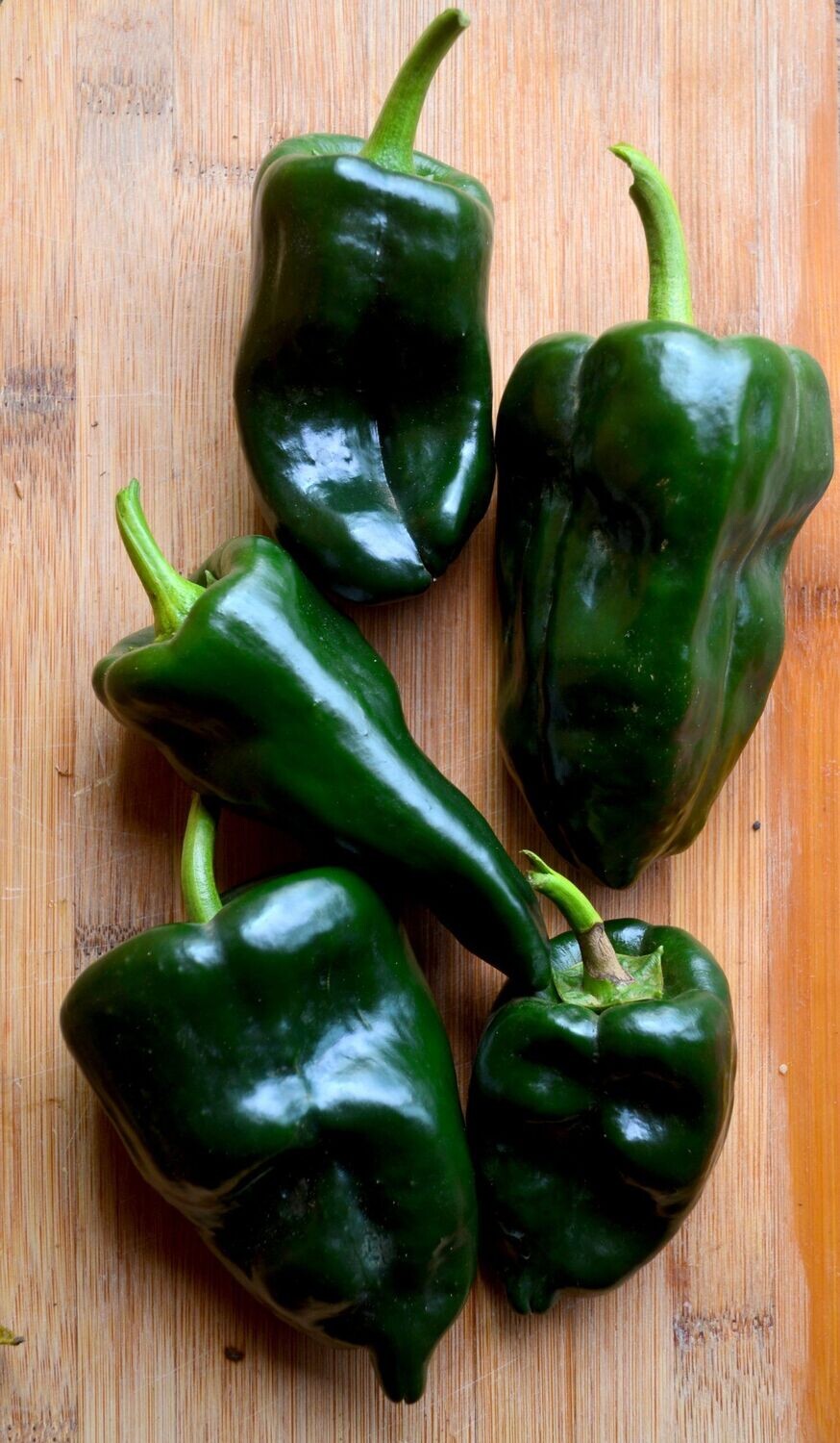Seed Freaks – Chilli – Poblano