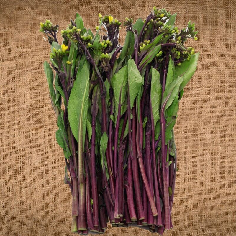 Asian Greens – Red Choy Sum