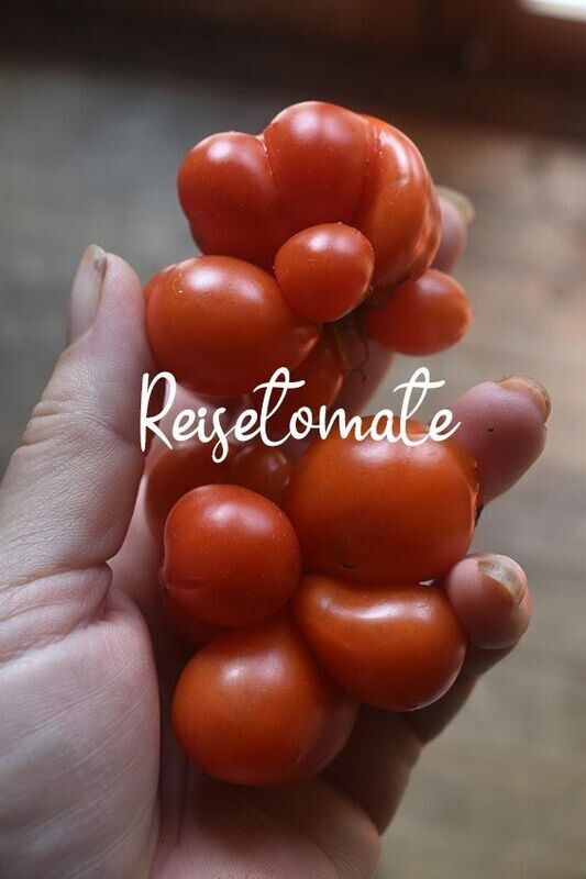 Reisetomate Tomato