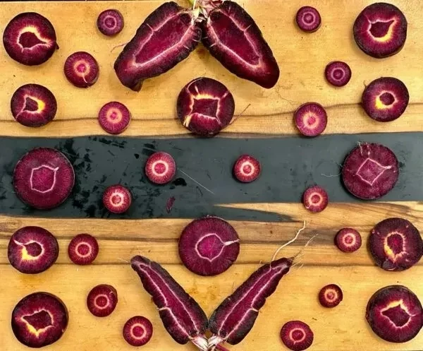 Cosmic Purple Carrot (Seed Freaks)