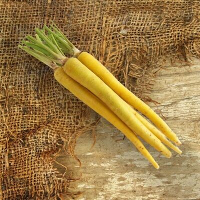 Carrot: Yellow Lobbericher