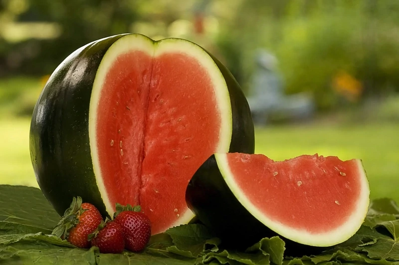 Watermelon Sugar Baby