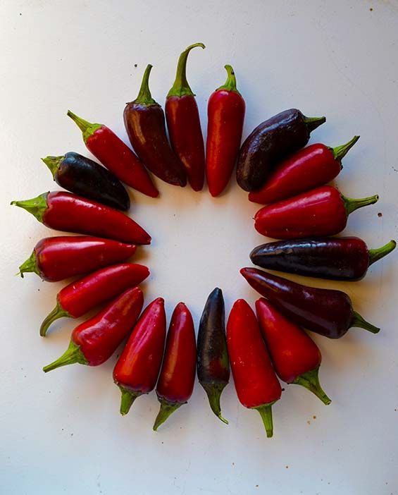 ​CHILLI: HUNGARIAN BLACK