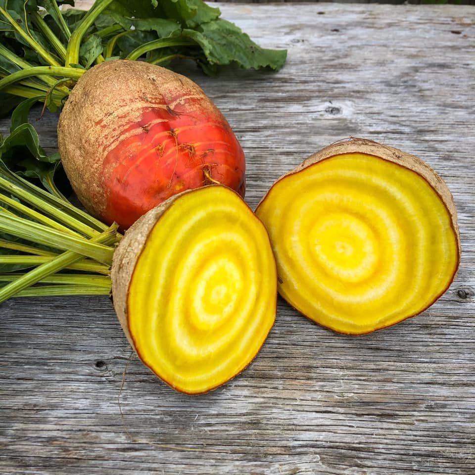Golden Beetroot D2E