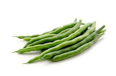Windsor Long Bush beans