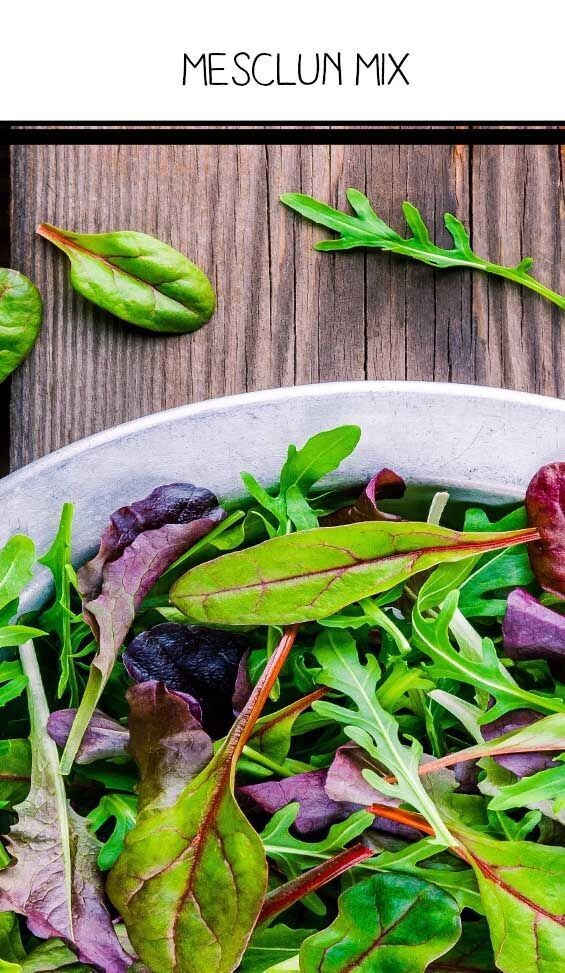 Mesclun Mix – Lettuce, Rocket, Spinach & Chicory