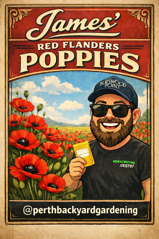 James Flanders Red Poppies
