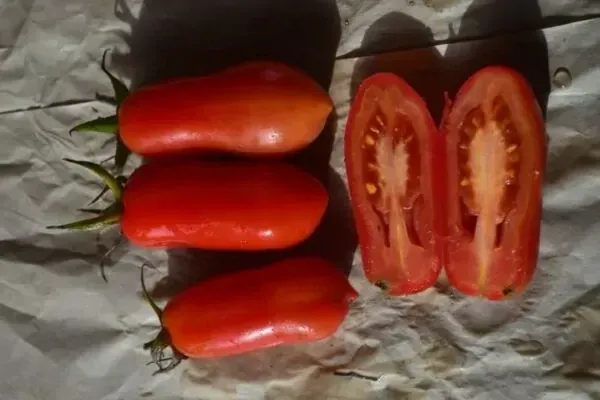 San Marzano - Tomato