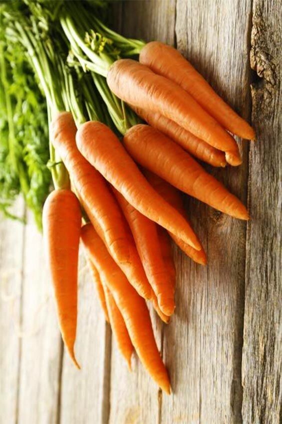 All Season  Carrots