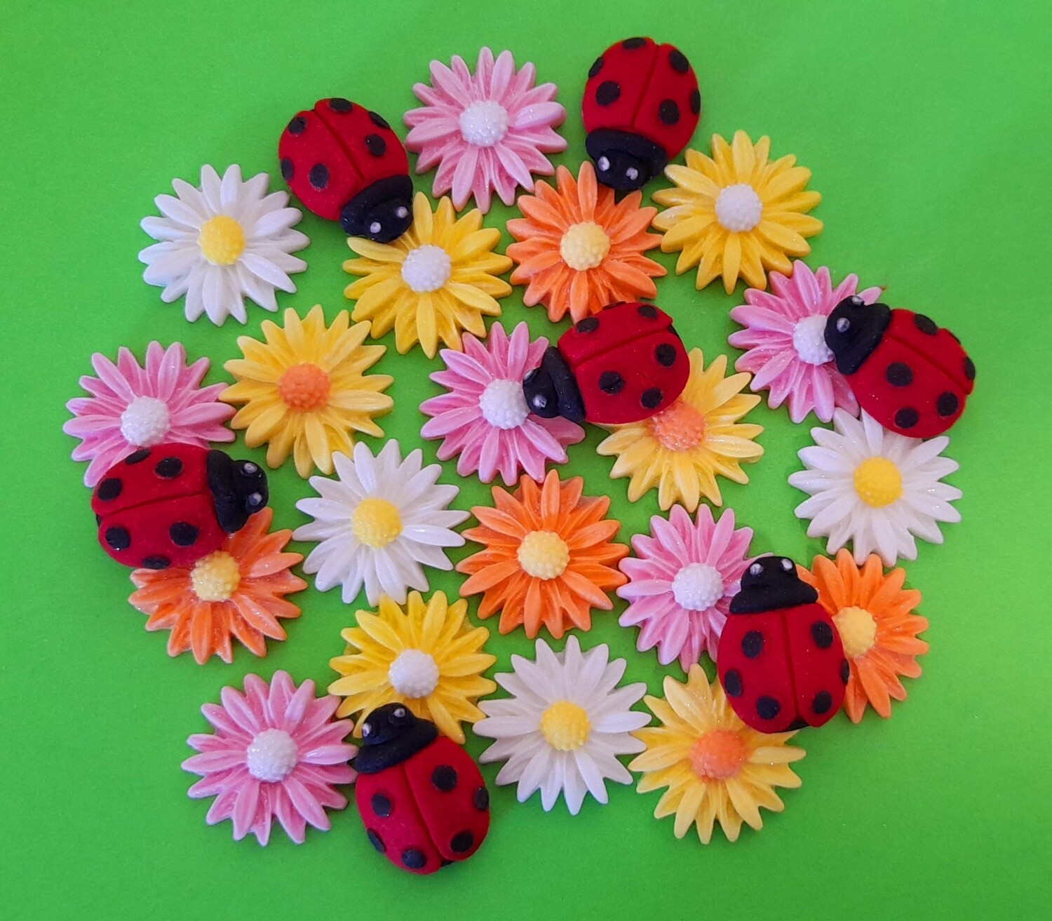 Daisies and Ladybirds