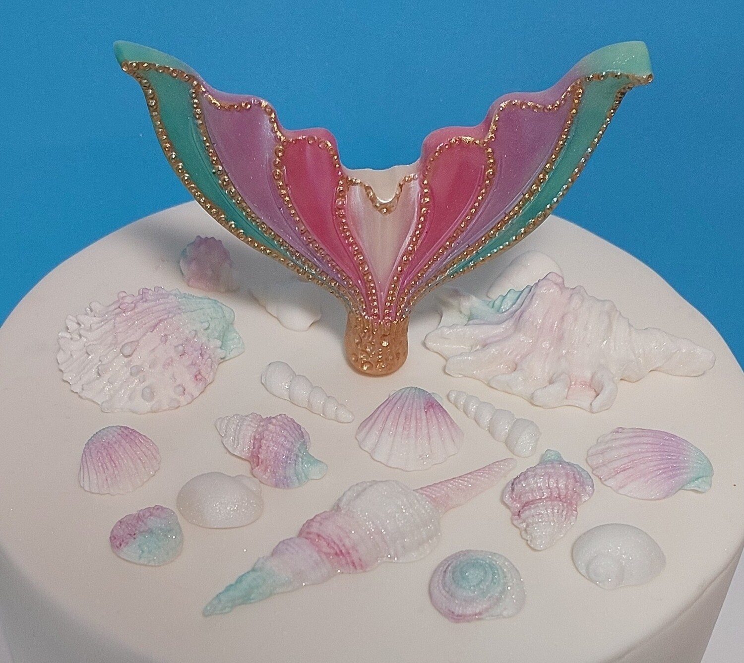 Mermaid Tail & Shells