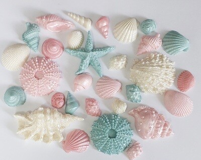 Shells - Blue, Pink & Cream