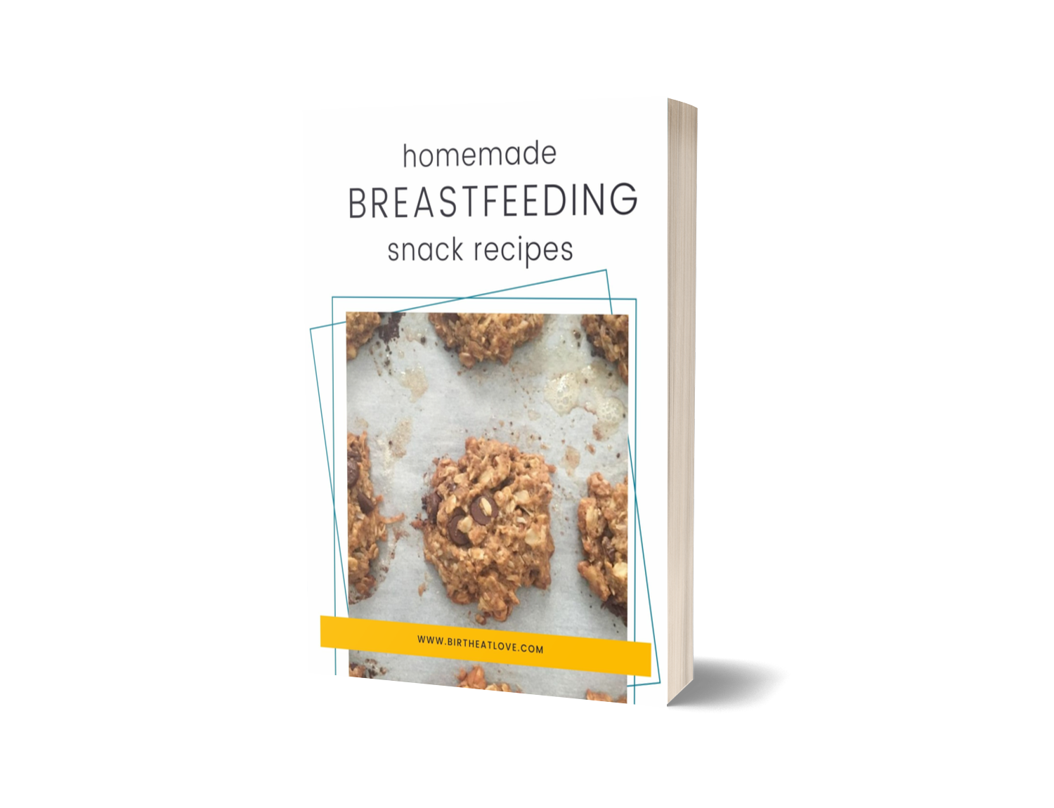 Homemade Breastfeeding Snacks Recipes Book