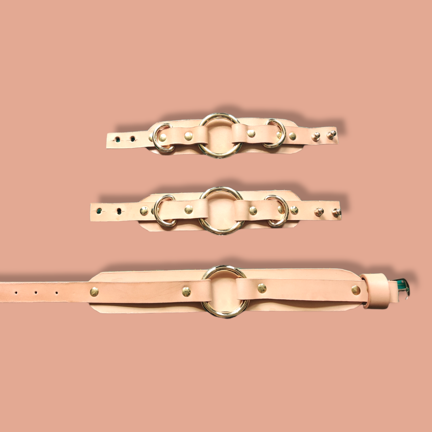 Vegetable Tanned leather Collar and Cuff set